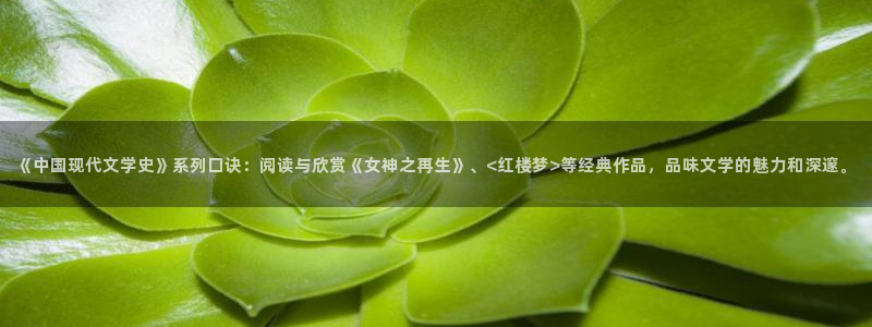 大鱼海棠小说版：《中国现代文学史》系列口诀：阅读与欣赏《女神之再生》、<红楼梦>等经典作品，品味文学的魅力和深邃。