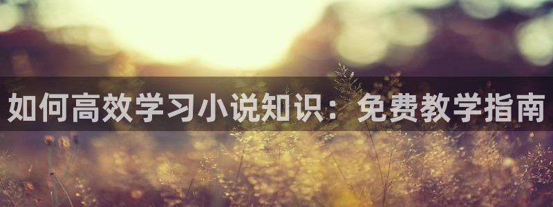 海棠小说榜单top：如何高效学习小说知识：免费教学指南