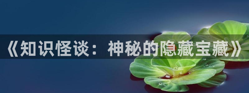 崇山海棠小说：《知识怪谈：神秘的隐藏宝藏》