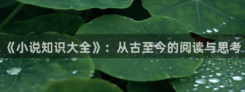 大鱼海棠小说版：《小说知识大全》：从古至今的阅读与思考