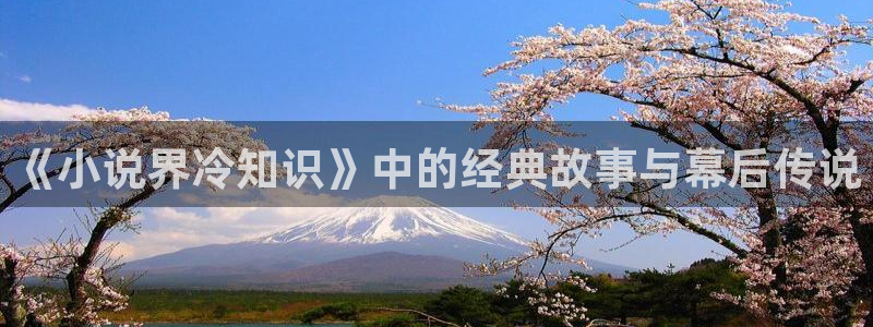 海棠小说文学城：《小说界冷知识》中的经典故事与幕后传说