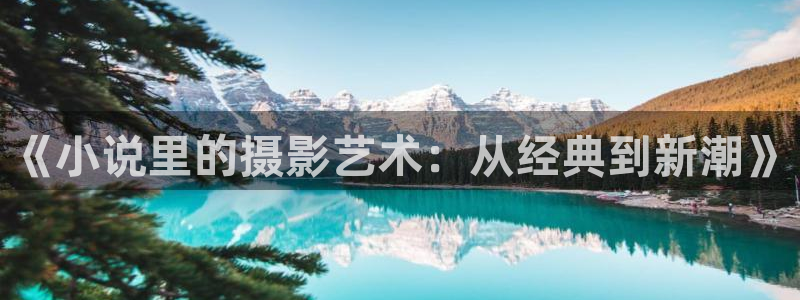 海棠小说网盘：《小说里的摄影艺术：从经典到新潮》