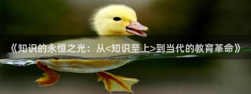 一树梨花压海棠小说在线：《知识的永恒之光：从<知识至上>到当代的教育革命》