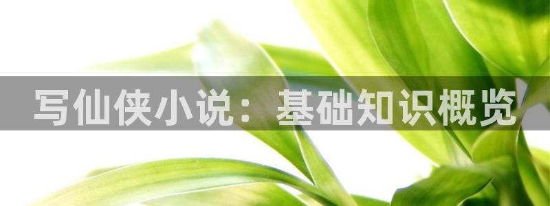 海棠小说笔趣阁：写仙侠小说：基础知识概览
