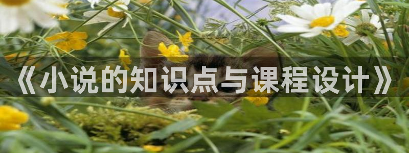 床上直播间by海棠小说：《小说的知识点与课程设计》