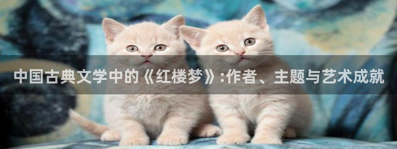 海棠小说骨科：中国古典文学中的《红楼梦》:作者、主题与艺术成就