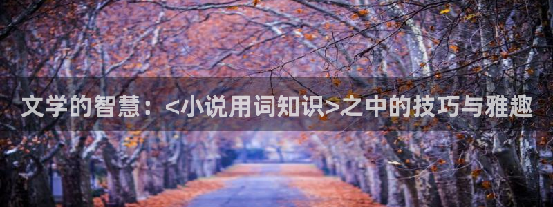 海棠小说在哪里看：文学的智慧：<小说用词知识>之中的技巧与雅趣