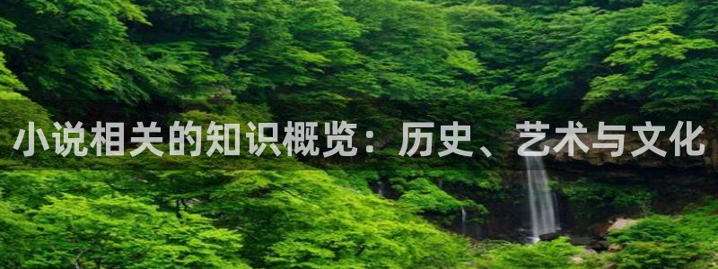海棠小说作品：小说相关的知识概览：历史、艺术与文化