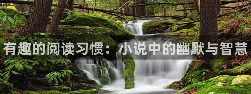 海棠小说123：有趣的阅读习惯：小说中的幽默与智慧