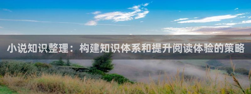 海棠小说免费的小说阅读网站：小说知识整理：构建知识体系和提升阅读体验的策略