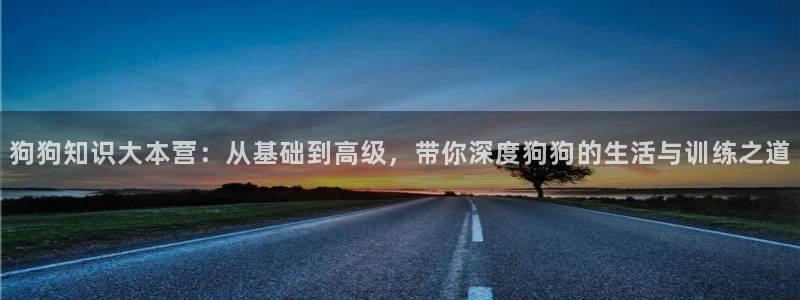 海棠小说网站免费阅读：狗狗知识大本营：从基础到高级，带你深度狗狗的生活与训练之道